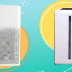 Best Cabin Air Filters for Allergies and Pollution