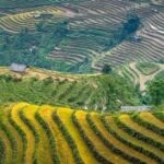 How to Buy Land for Building a House